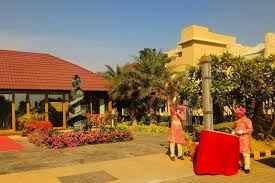 wedding lawn