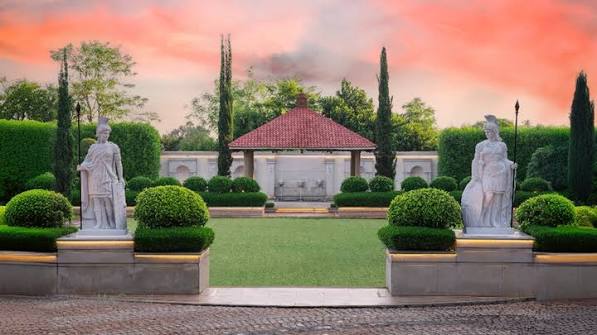 Portfolio Image
